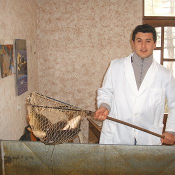 Kishegyesi Vállalkozók